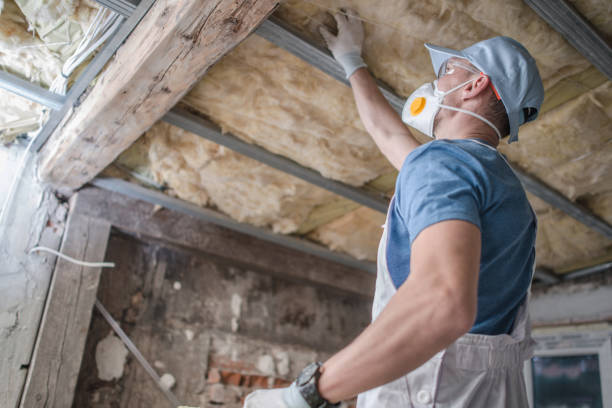 Best Insulation Installation Services in Frankfort, KY