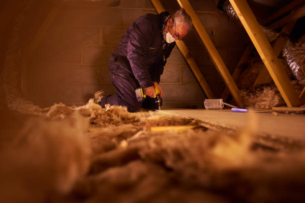 Best Insulation for Specific Applications in Frankfort, KY