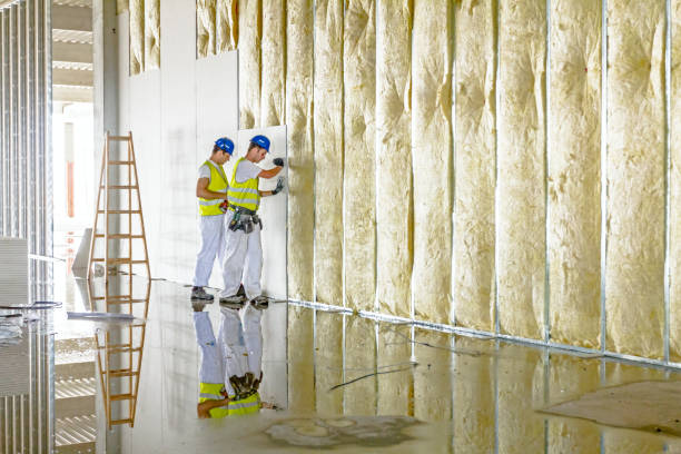 Best Residential Insulation in Frankfort, KY
